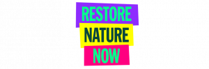 [240622] Restore Nature Now : 22 Jun, Truro